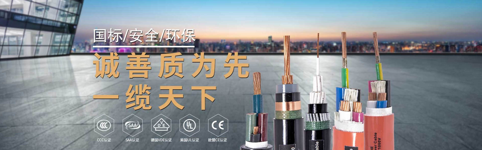 電纜